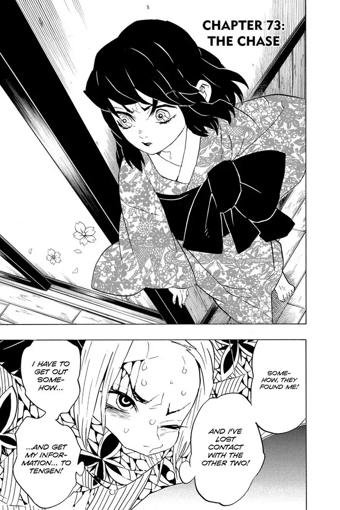 Demon Slayer Chapter 73 image 01_optimized